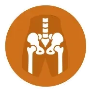 orthocarolina-hip-logo