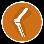 orthocarolina-knee-logo