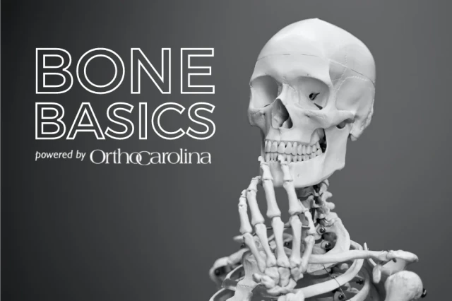 Bone Basics