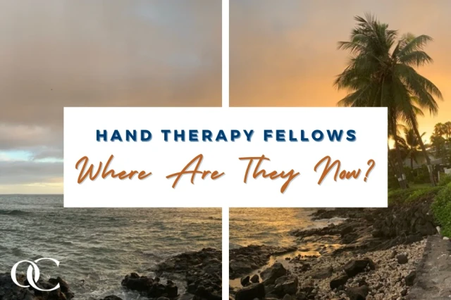 Where are they now - hand therapy fellows