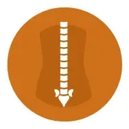 OrthoCarolina-Spine-Care