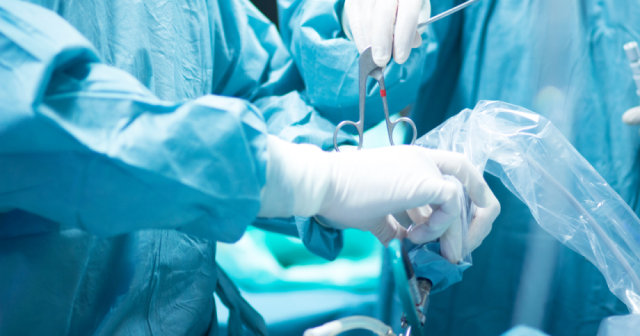 Orthopedic research fellows