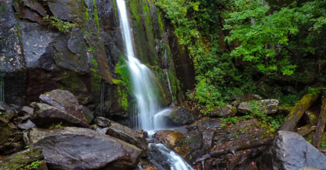 Top 10 Triad Waterfalls & Swimming Holes
