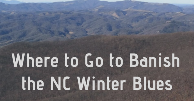 Where to go to banish North Carolina winter blues
