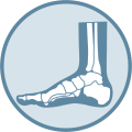 Foot & Ankle Institute Logo