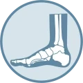Foot & Ankle Institute Logo