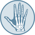Hand Care OrthoCarolina
