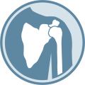 Shoulder