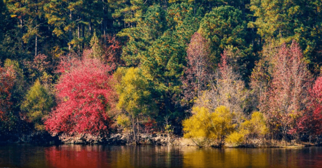 20 Family Friendly Fall Adventures In North Carolina S Triad And Triangle Orthocarolina Are you looking for autumn lake design images templates psd or png vectors files? 20 family friendly fall adventures in