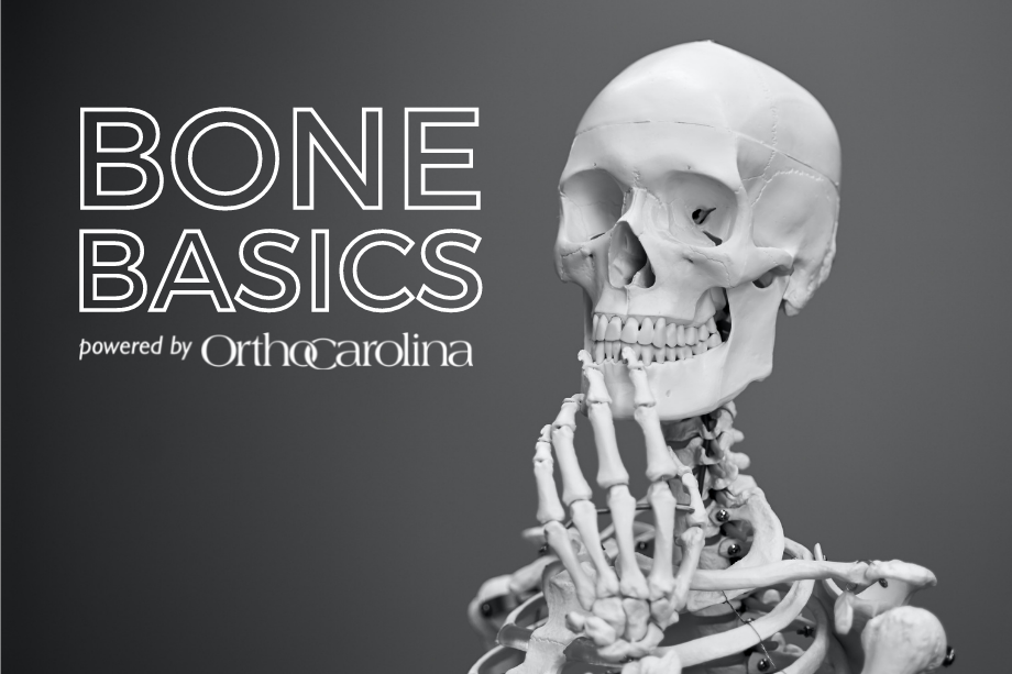 What Is Bone What Does It Do Orthopedic Blog OrthoCarolina
