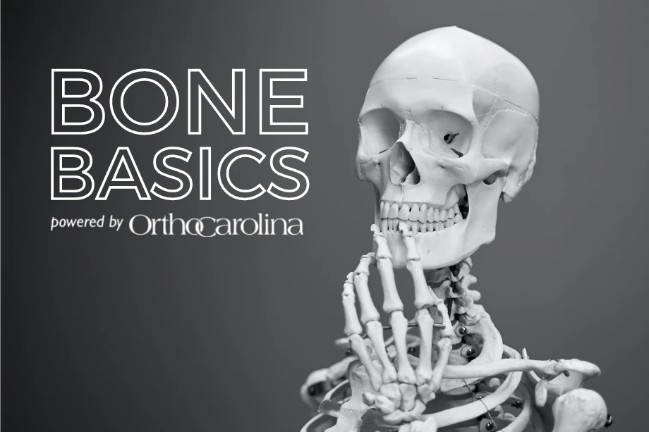 What Is Bone & What Does It Do? | Orthopedic Blog | OrthoCarolina