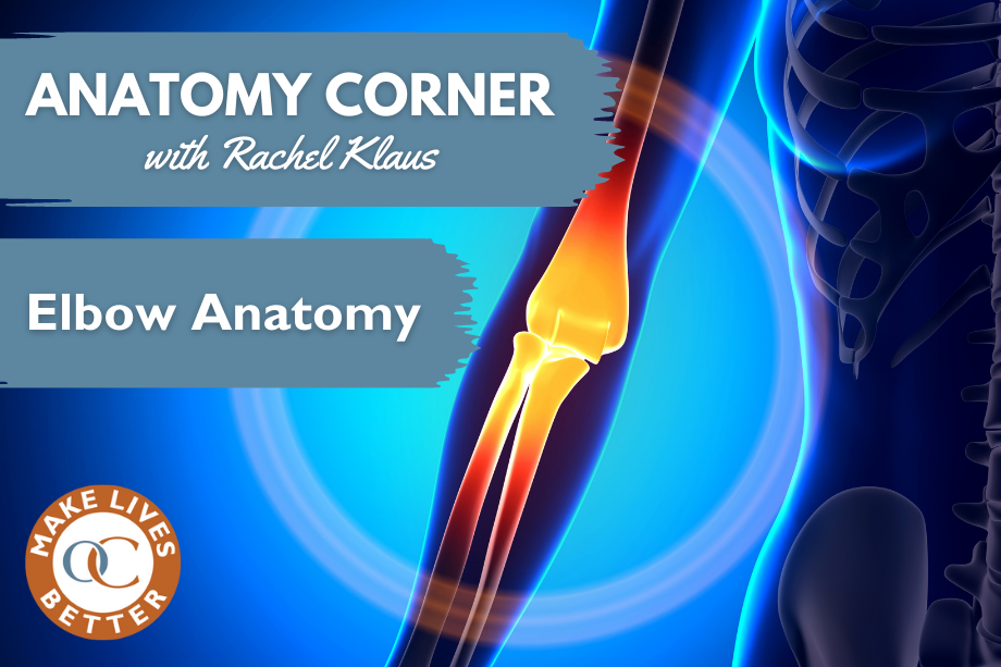 Elbow Anatomy Orthopedic Blog OrthoCarolina