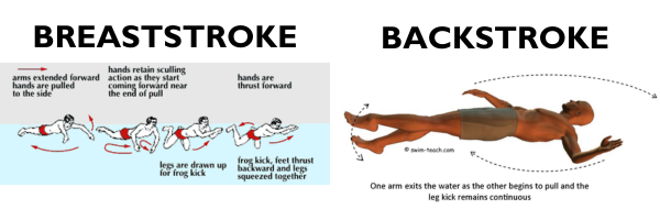 Diagram illustrating the movements and muscle engagement in breaststroke and backstroke swimming techniques.