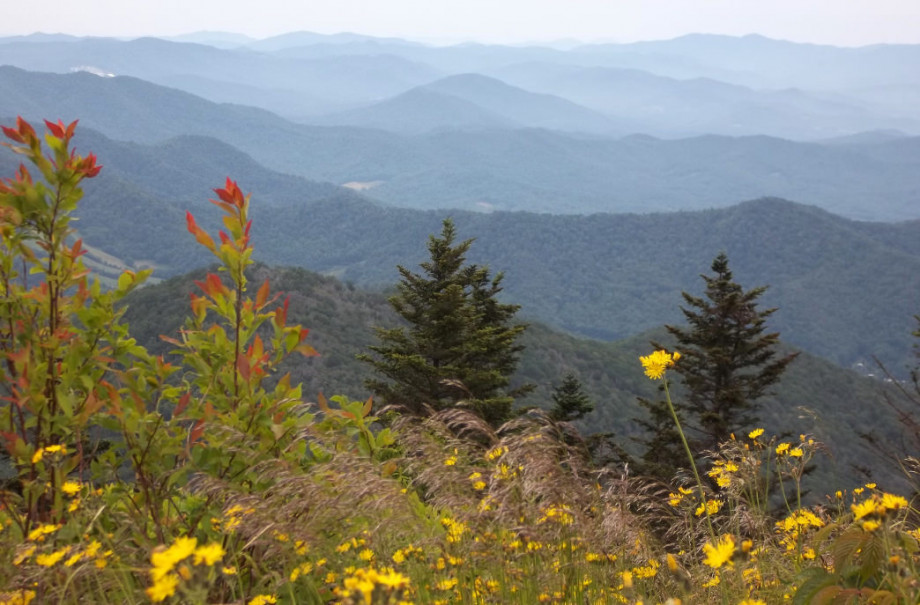 Access the Appalachian Trail close to home.