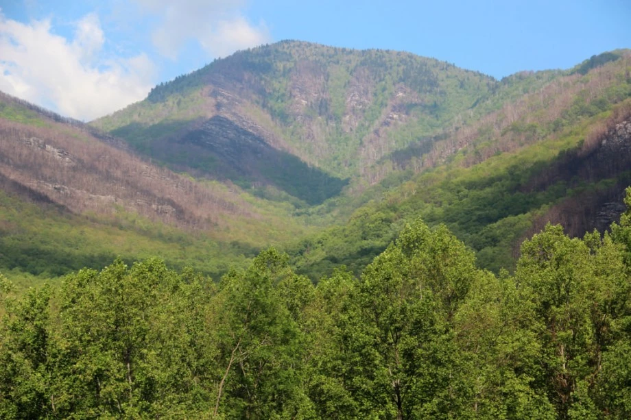 GREAT SMOKY MOUNTAINS NATIONAL PARK