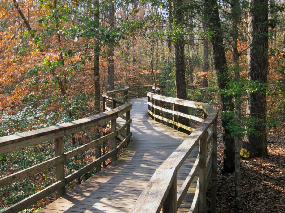 Congaree National Park