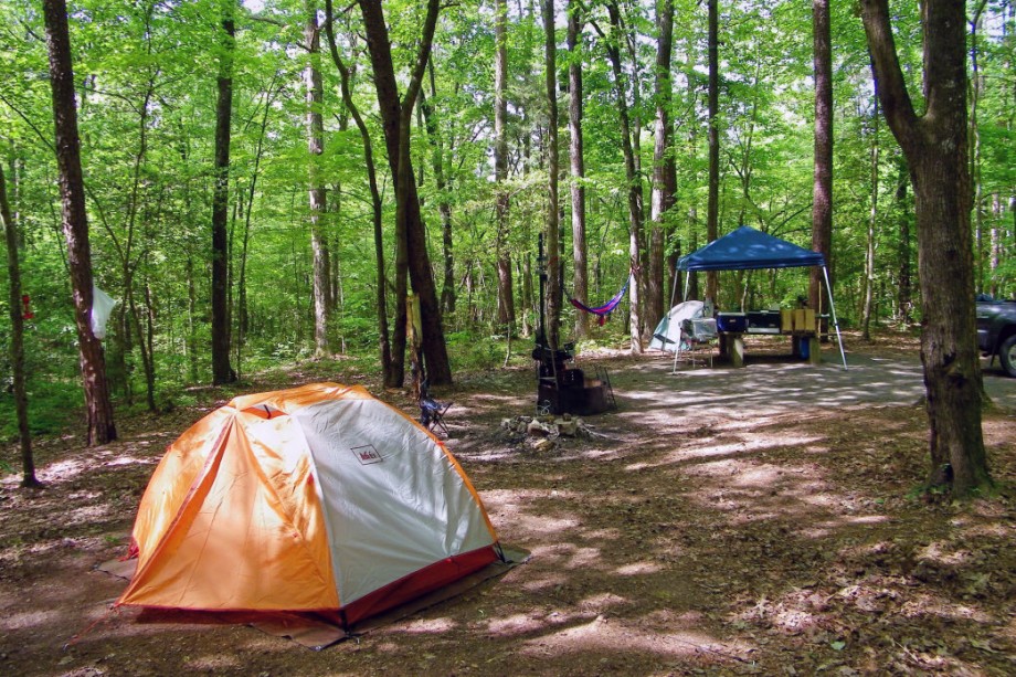 UWHARRIE National Forest