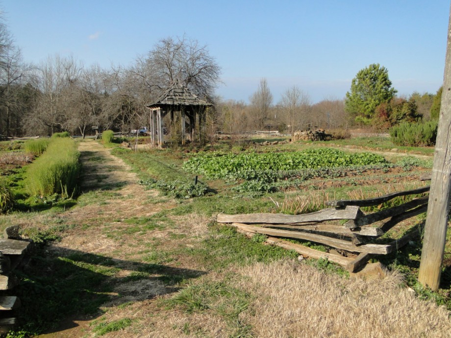 European Settlement