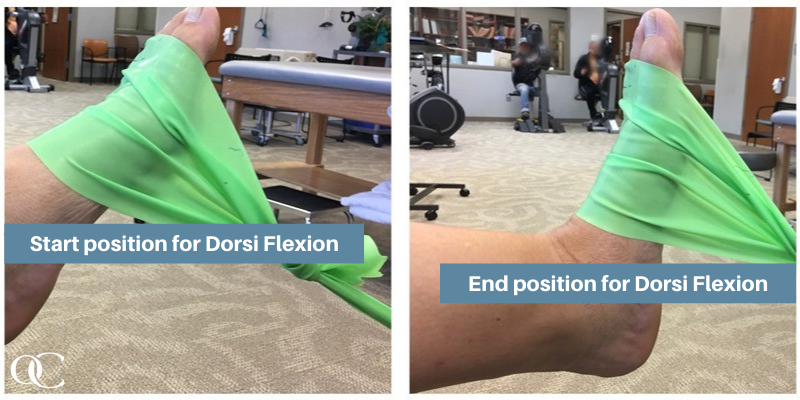 Dorsi Flexion