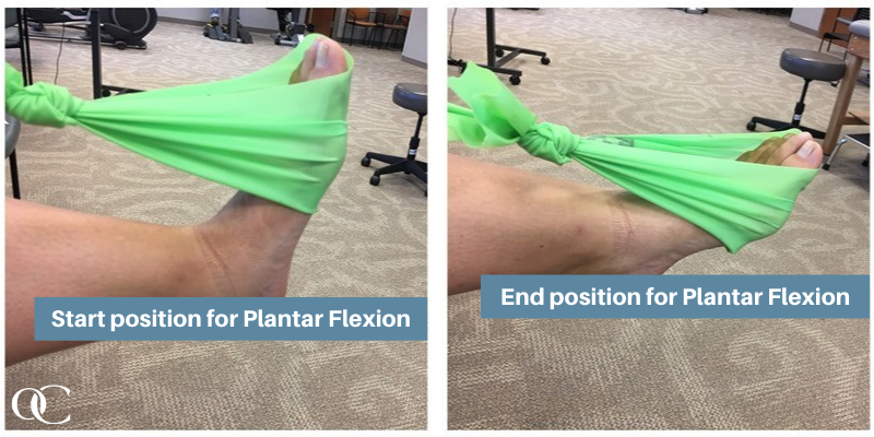 Plantar Flexion