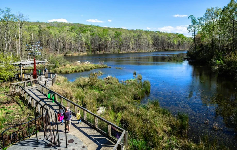 Touring the North Carolina Zoo