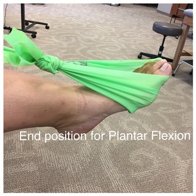 End position for Plantar Flexion End position for Plantar Flexion