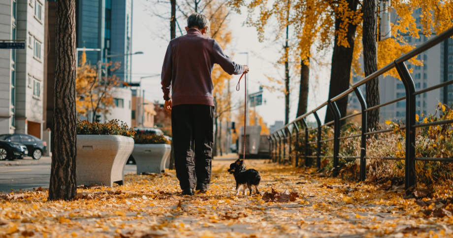 Older man walking in the fall.